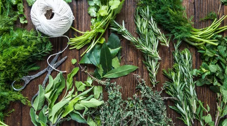 Come Conservare le Erbe Aromatiche