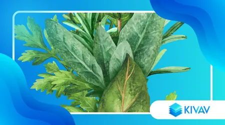 Come Conservare le Erbe Aromatiche