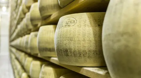 Parmigiano Reggiano: Come Riconoscere l’Originale e Come Usarlo in Cucina