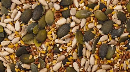 Pane con semi misti