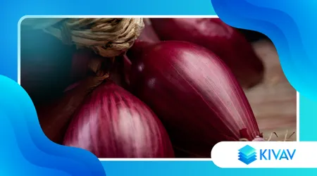 Cipolla rossa di Tropea IGP