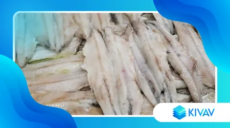 Acciughe del Mar Cantabrico vs acciughe italiane