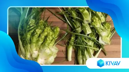 Insalata di puntarelle alla romana