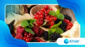 Frutti di bosco dell’Alto Adige: piccoli tesori della montagna