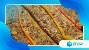 Peperoni ripieni alla piemontese: contorno colorato e profumato con pane ed erbe