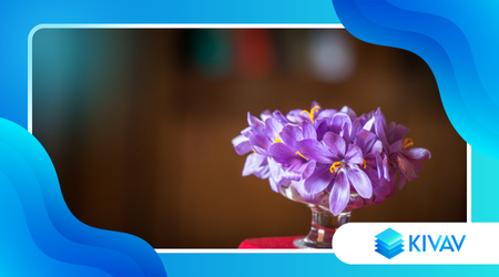 Zafferano dell’Aquila DOP