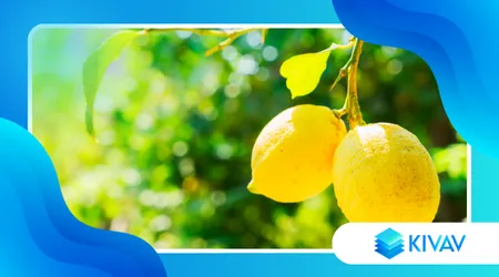 Limoni di Sorrento IGP