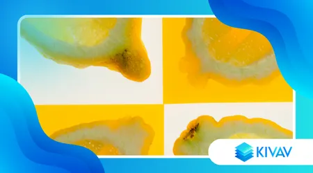 Limoni di Sorrento IGP