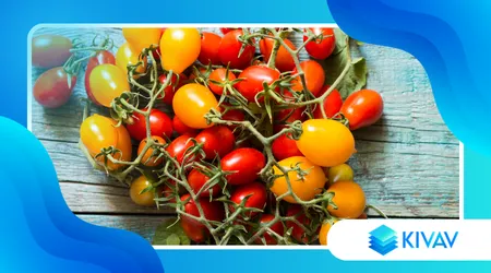 Pomodorini del Piennolo del Vesuvio: sapore unico e lunga conservazione