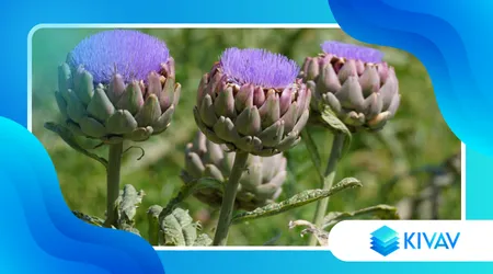 Tortino di carciofi e pecorino romano