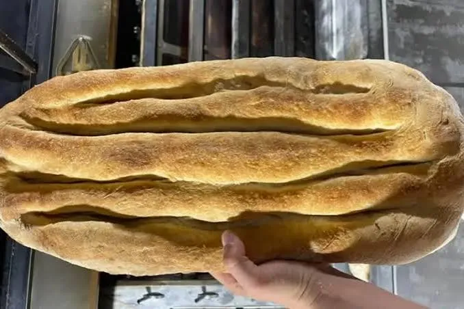 fàlia di Priverno